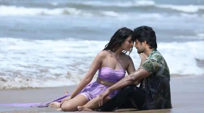 పాయల్ రాజపుత్ మరో బోల్డ్ అట్టెంప్ట్ .. ఈసారైనా వర్కౌట్ అవుతుందా Payal Rajput Tees Maar khan